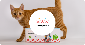 BasePaws